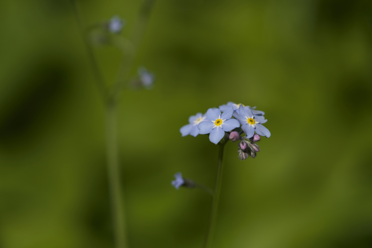 Impression de cadre personnalisé