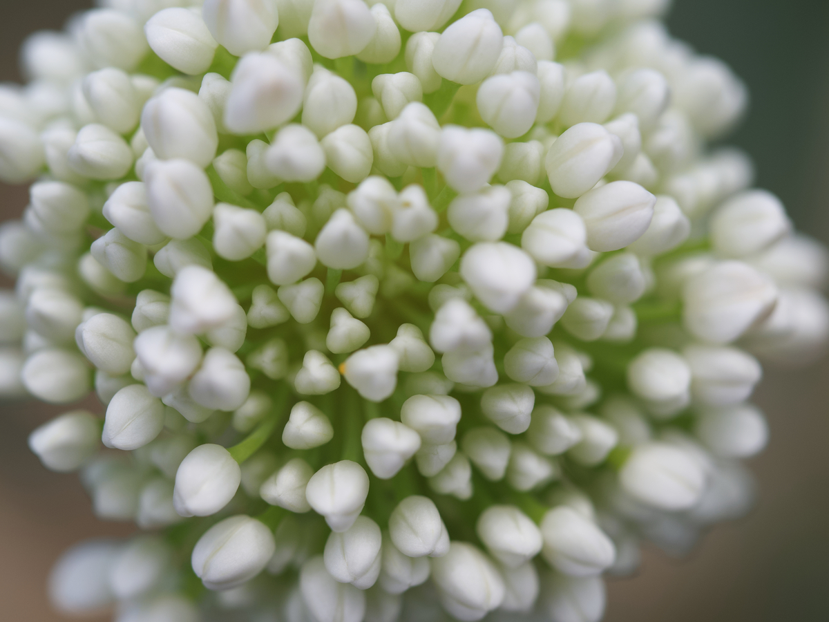 Impression de cadre personnalisé