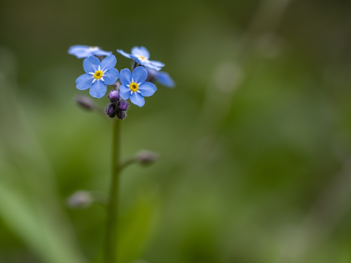 Impression de cadre personnalisé