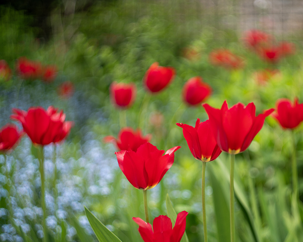  SBP4390 by Suzanne Bonin