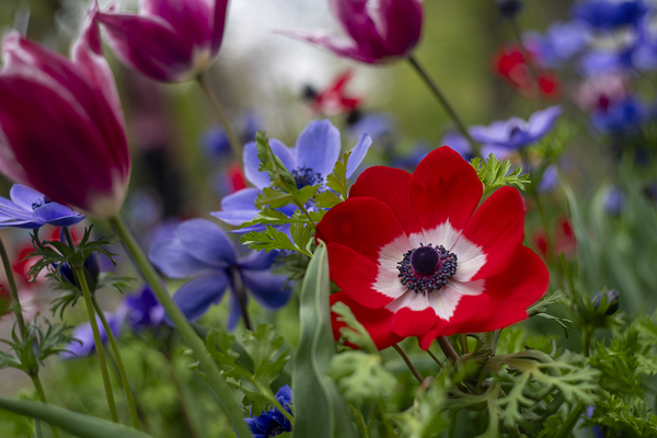 SBP5874 by Suzanne Bonin