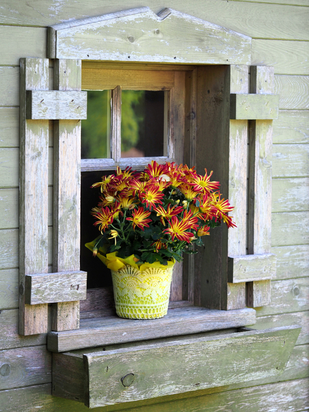 Ambience by Suzanne Bonin