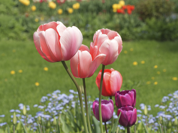 Nuances by Suzanne Bonin