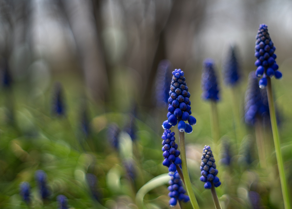 Paradise Perfection Print