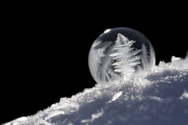 Frozen Soap Bubble Print
