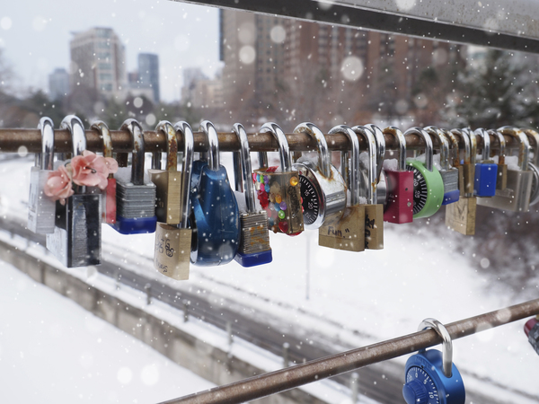 Love Locks by Suzanne Bonin