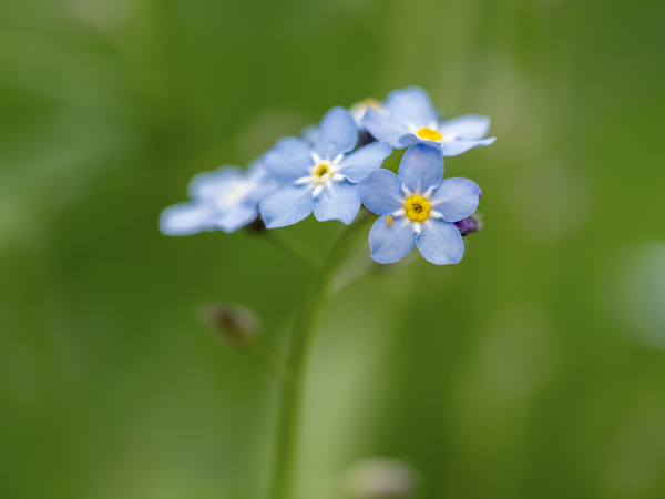 Small World by Suzanne Bonin