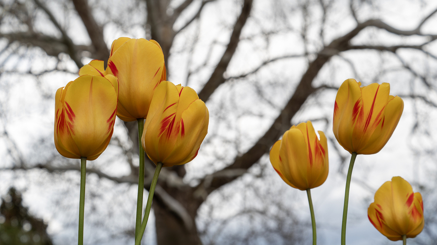 Beautiful Nature  Print