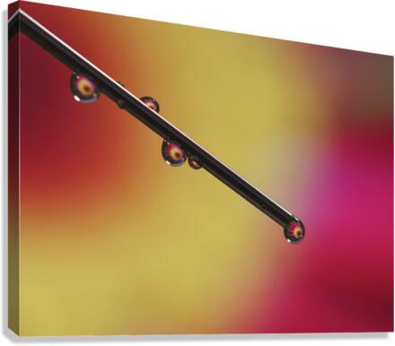 Experiment Canvas Print