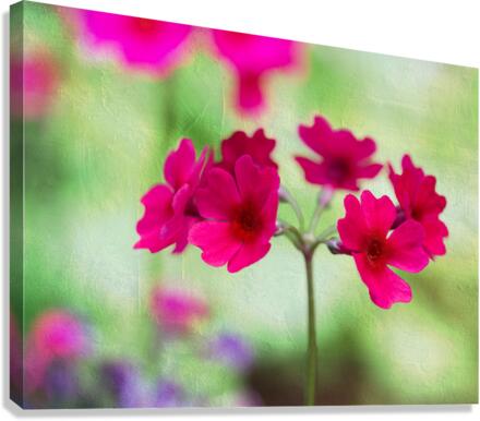 Valley Red Canvas Print