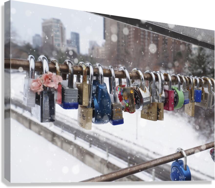 Love Locks Canvas Print