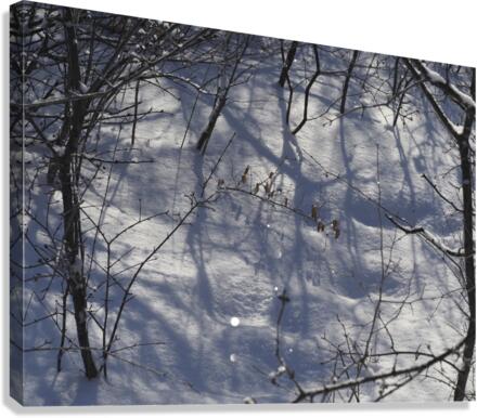 Peaceful Canvas Print