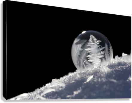 Frozen Soap Bubble Canvas Print