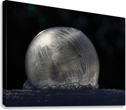Frozen Bubble Canvas Print