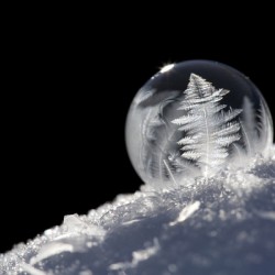 Frozen Soap Bubble