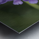 Fluttering Metal print