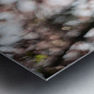 Sunny Serenity Metal print