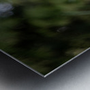 Pink Bliss Metal print