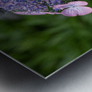 Penny Mac Metal print