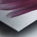 Pink Tulips Metal print