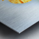 Poppy Burning Metal print