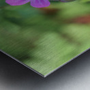 Little Robin Metal print