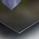 I See Blue Metal print