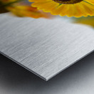 A Beautiful Day Metal print