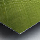 Some Leaf Metal print