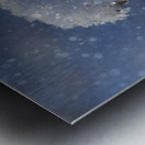 Frozen Top Metal print