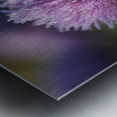 Dewy Chive Metal print