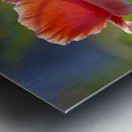 Color Burst Metal print