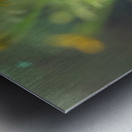 Wild Marigolds Metal print