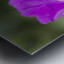 Wild One Metal print