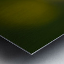 Golden One Metal print