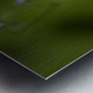 Tiny Blue Beauties Metal print