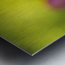 Freshness Overload Metal print