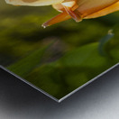 Glorious Day Metal print