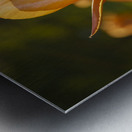 Wonderful Day Metal print