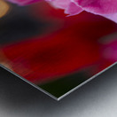 Three Amigos Metal print