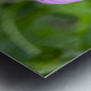 Ruby Star Metal print