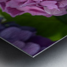 Awesome Pink Metal print