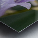 Breeze Blooms Metal print