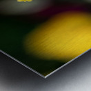 Call Me Fabiola Metal print