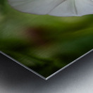 Little Glass Metal print