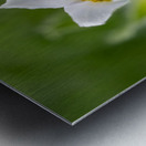 Darling 2 Metal print