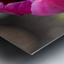 Pretty Pink Metal print