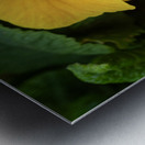 Call me Viola Metal print