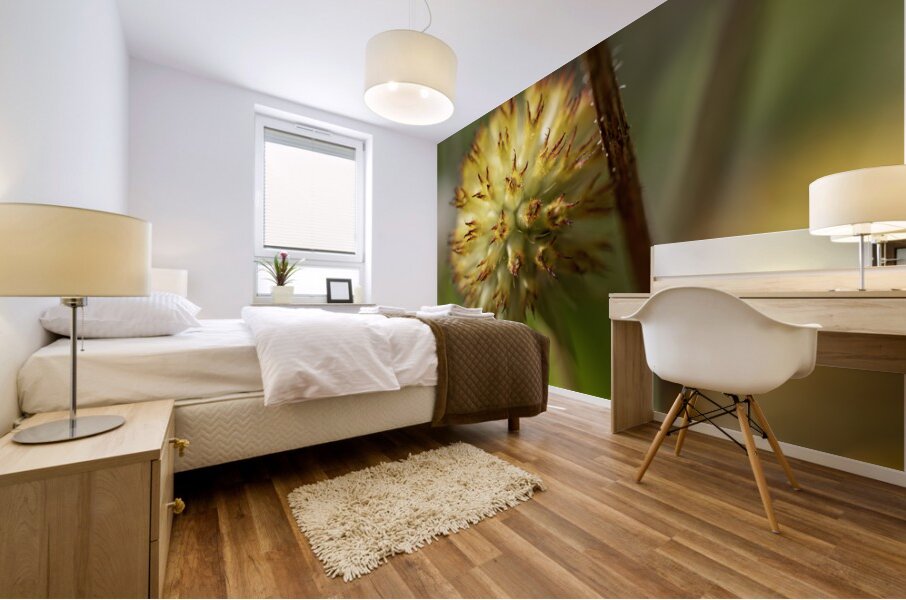 Blanketflower Mural print