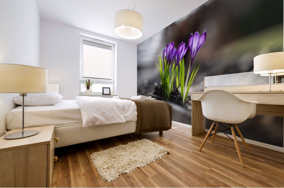Crocus Mural print